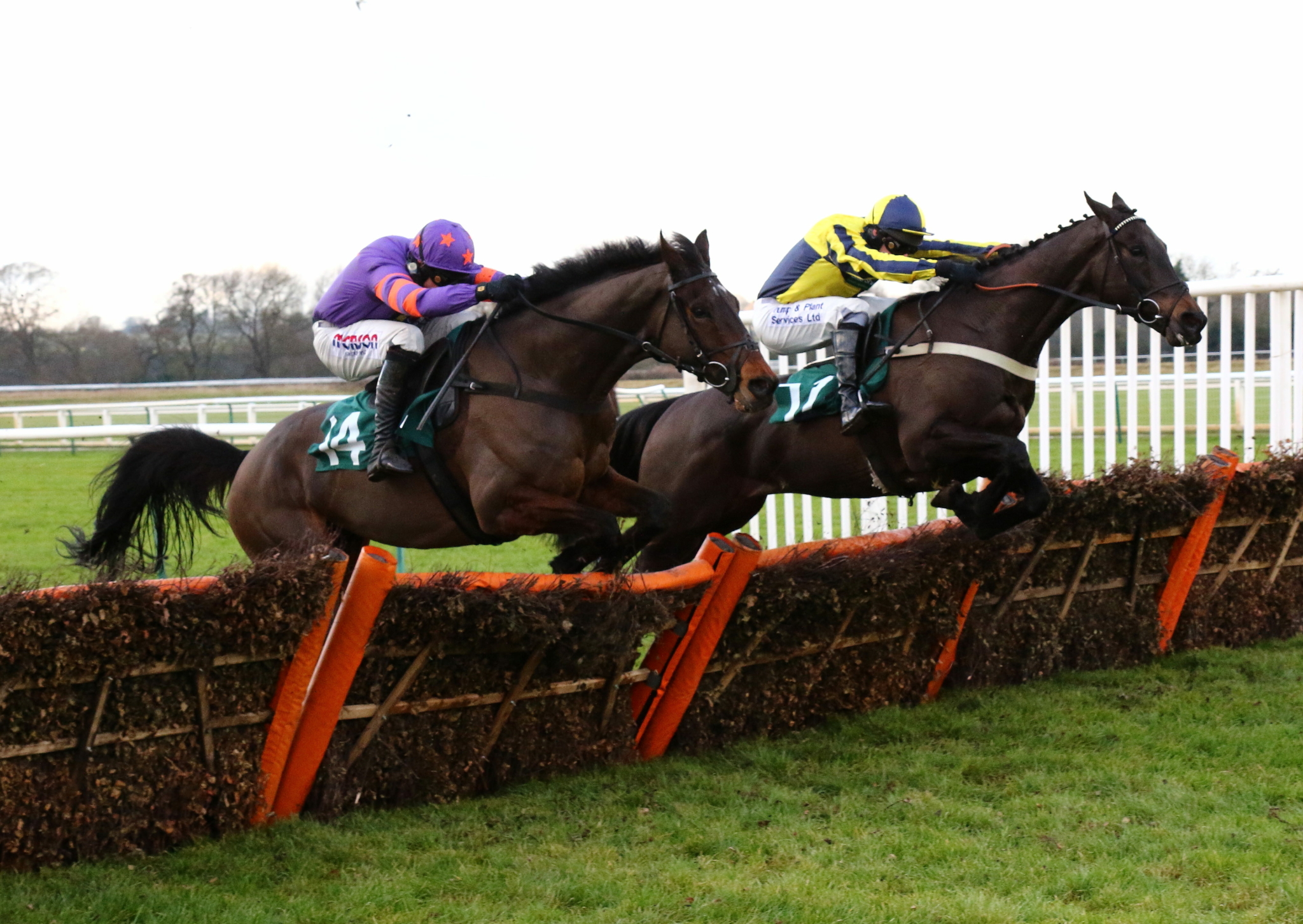 Autumn & Winter Horse Racing Hospitality 2026 | Eventmasters