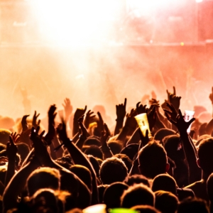 Music Festival Crowds