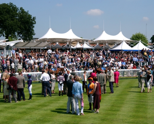 York Parade Ring