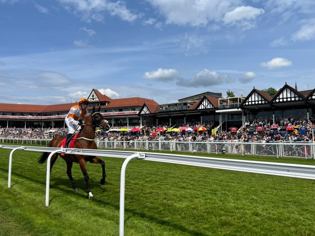 Chester May Festival Hospitality Silks Private Viewing along running rails