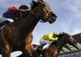 British Champions Day Ascot