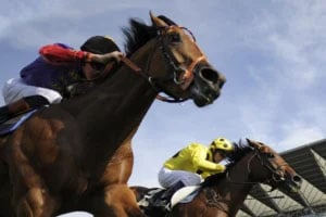 British Champions Day Ascot Racecourse