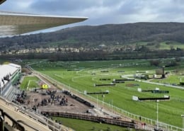 Cheltenham Racecourse Private Box