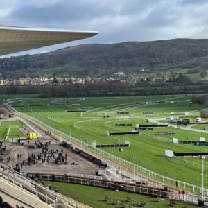Cheltenham Racecourse Private Box