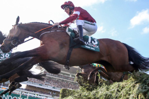 Aintree Grand National