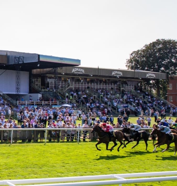 Dubai Future Champions Festival 2024 - Newmarket Racecourse - Champions Gallery Restaurant Hospitality - Horse Racing