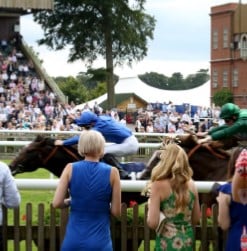 The July Festival 2025 - Newmarket Racecourse - Trackside Shared Pavilion Hospitality - Horse Racing