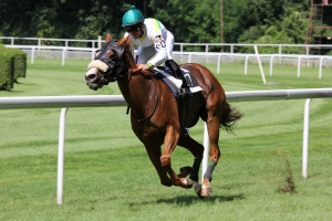 Coral Eclipse Day 2024 - Sandown Racecourse, Private Boxes - Horse Racing