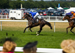 Royal Ascot hospitality