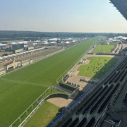 Royal Ascot Panoramic Restaurant View of Track Royal Ascot Panoramic Restaurant View of Track