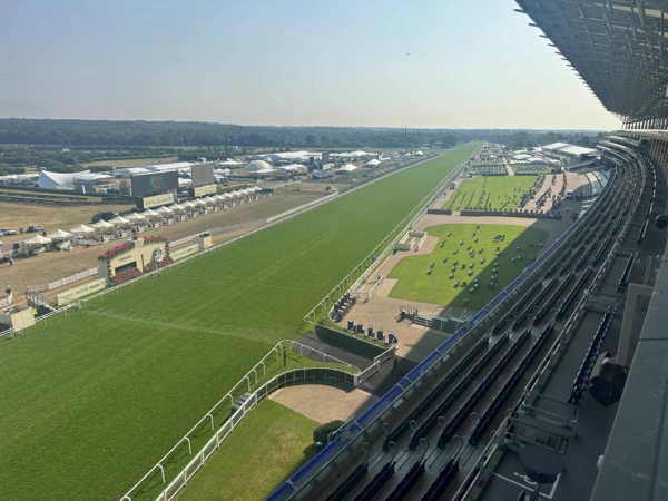 Royal Ascot Panoramic Restaurant View of Track