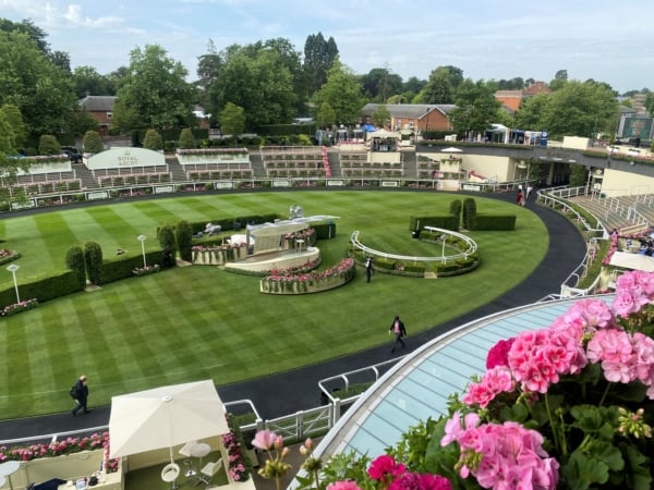 Royal Ascot Parade Ring Restaurant View