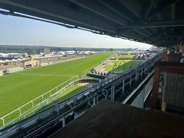 Royal Ascot Windsor Forest View of Track 1