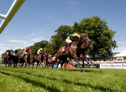 Newmarket Racecourse