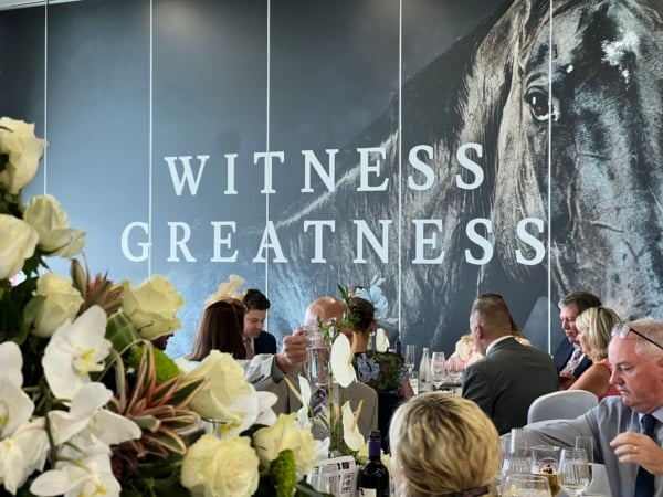Details from Dante Suite - York Ebor, York Racecourse