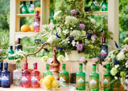 Chelsea Flower Show - Royal Hospital Chelsea - Spring Meridian Hospitality Package - Display