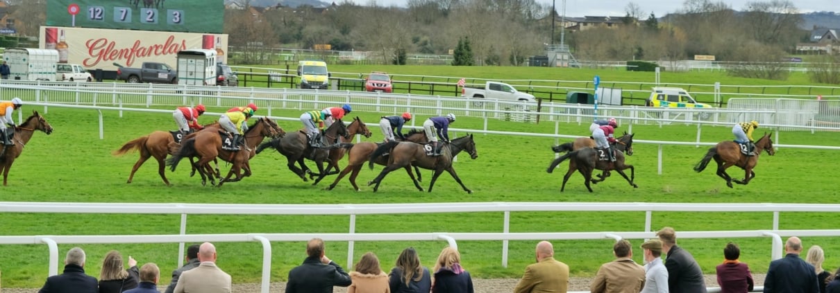 Cheltenham April Meeting 2024 - Cheltenham Racecourse - Private Grandstand Box Hospitality - Horse Racing