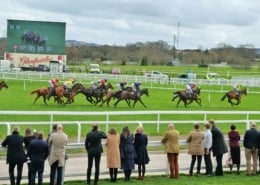 Cheltenham April Meeting 2026 - Cheltenham Racecourse - Private Grandstand Box Hospitality - Horse Racing