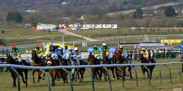 Private Grandstand Box - Cheltenham Showcase Meeting - Image 4