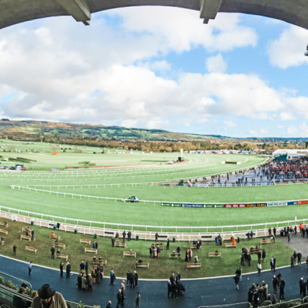 Cheltenham Showcase Meeting 2024 - Cheltenham Racecourse - Private Grandstand Box view