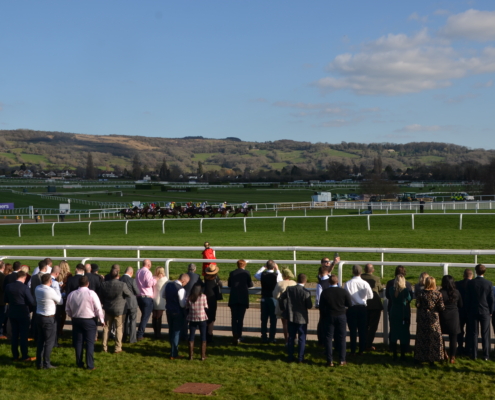 Cheltenham Showcase Meeting Hospitality