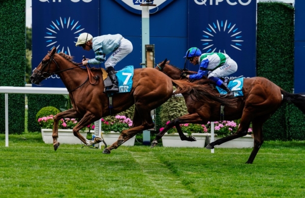 QIPCO British Champions Day 2025 - Ascot Racecourse - Pavilion, Private Grandstand Box - Hospitality