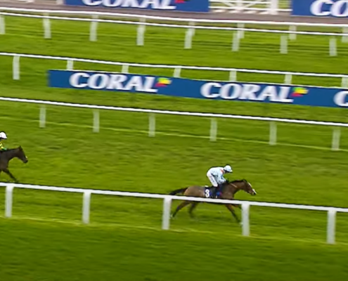Cheltenham Showcase Meeting Hospitality