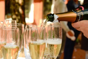 Bet365 Jump Finale Day 2024 - Sandown Racecourse, Private Boxes - Hospitality