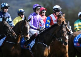 Cheltenham Festival 2026 Hospitality - National Hunt Racing