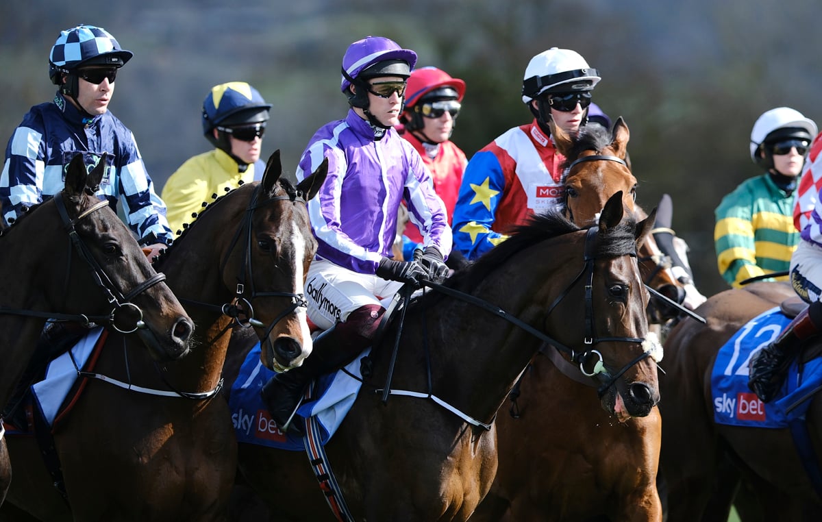 Cheltenham Festival 2026 Hospitality - National Hunt Racing