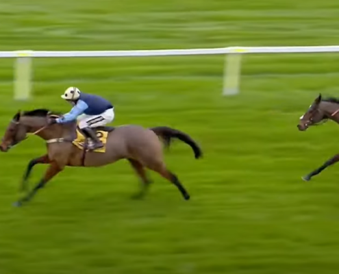 Cheltenham Showcase Meeting Hospitality
