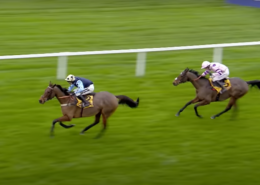 Edwardstone wins 2022 Tingle Creek Chase