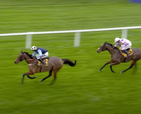 Cheltenham Showcase Meeting Hospitality