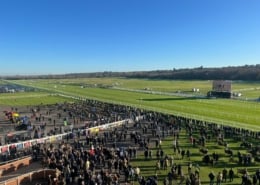 Coral Gold Cup Day - Newbury Racecourse