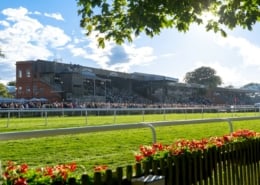 Newmarket Nights 2025 - Newmarket Racecourse - Shared Trackside Pavilion Hospitality - Horse Racing