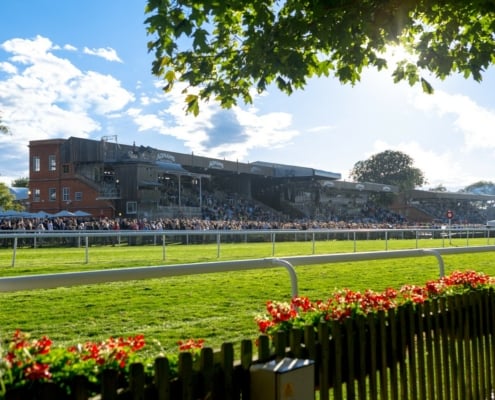 Newmarket Nights 2025 - Newmarket Racecourse - Shared Trackside Pavilion Hospitality - Horse Racing