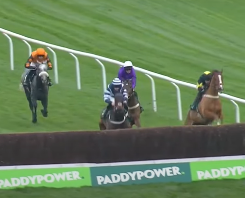 Cheltenham Showcase Meeting Hospitality