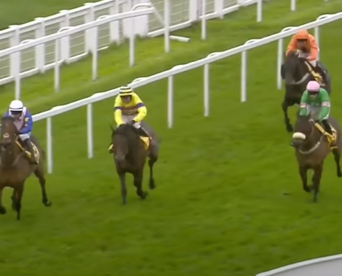Cheltenham Showcase Meeting Hospitality