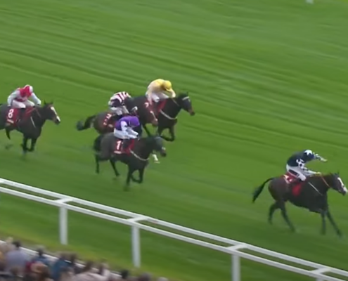 Cheltenham Showcase Meeting Hospitality