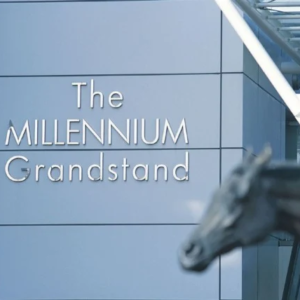 The Spring Meeting 2025 - Newmarket Racecourse - Private Grandstand Box Hospitality
