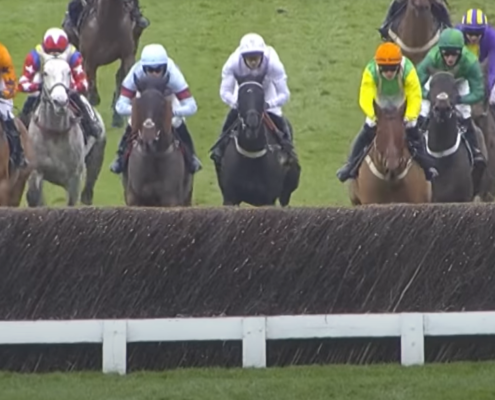 Cheltenham Showcase Meeting Hospitality