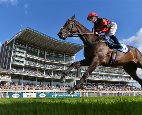York Ebor Festival York Racecourse 2026