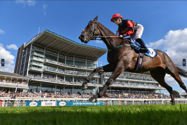 York Ebor Festival York Racecourse 2024