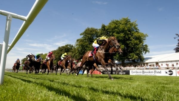 Newmarket Nights 2025 - Newmarket Racecourse - Private Trackside Pavilion Hospitality - Horse Racing