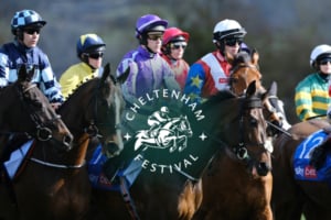 Cheltenham Festival 2025 Hospitality Packages