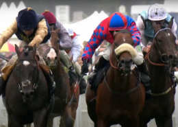 Glorious Goodwood