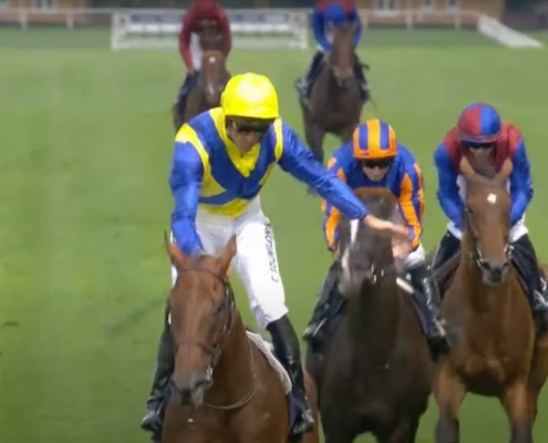 Goliath King George Diamond Day