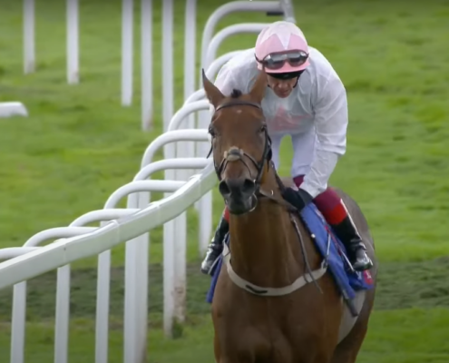 Absurde York Ebor