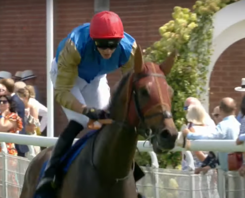 French Duke