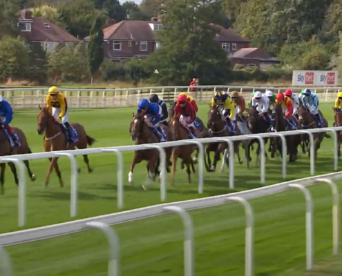 York Ebor